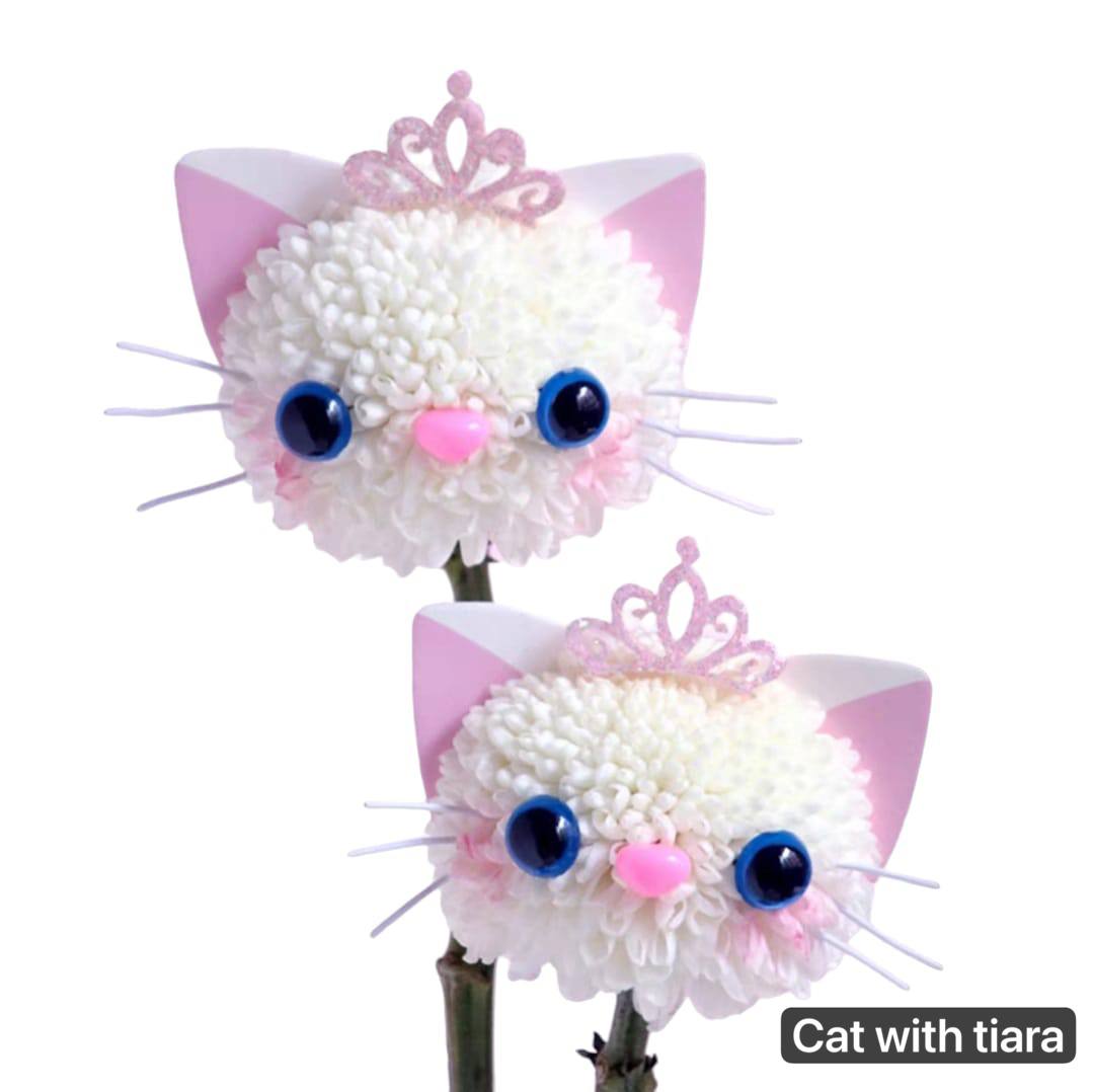 {G3} Graduation cuties- Character ball with coloured baby's breath